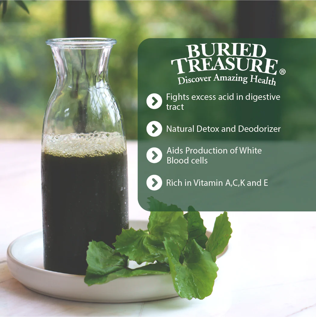 Liquid Chlorophyll – 100 mg Chlorophyll per Serving, 16 Servings - Image 5