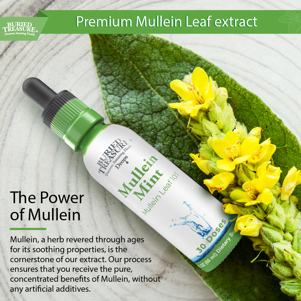 Buried Treasure Liquid Nutrients Mullein Drops with 200mg 10:1 Extract, Alcohol-Free Liquid Dietary Supplement - Image 7